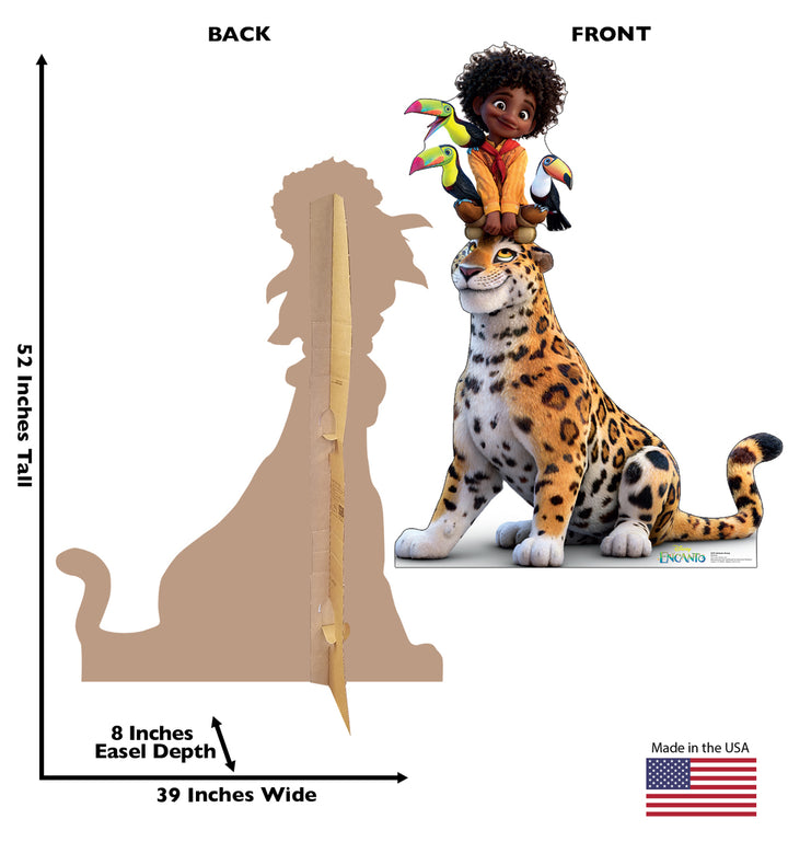 Encanto Balloon Garland and Cardboard kit