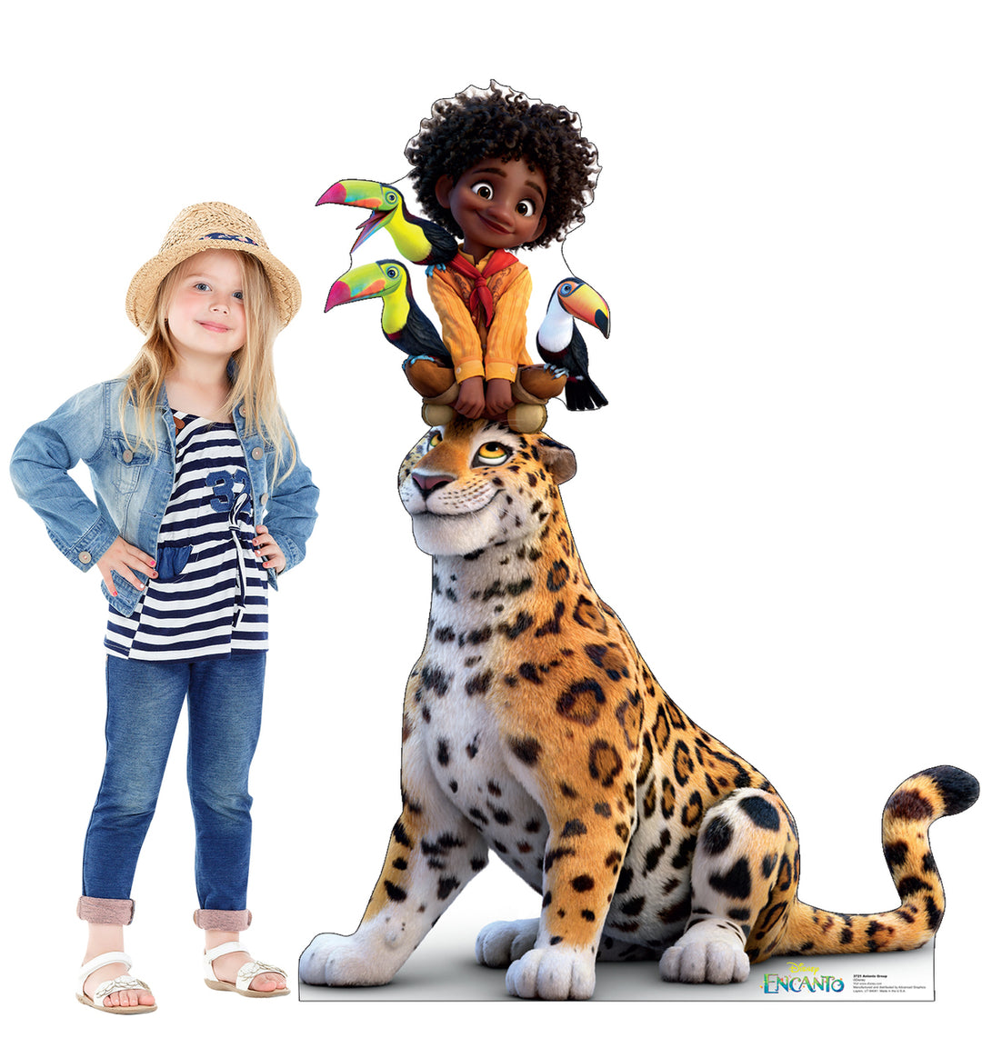 Encanto Balloon Garland and Cardboard kit