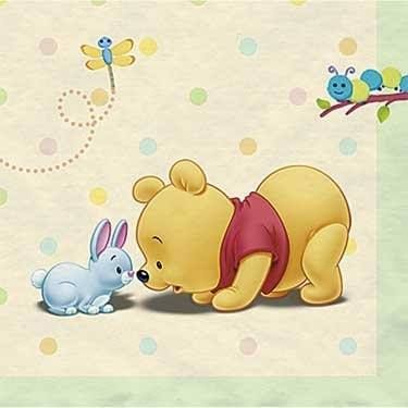 Baby Winnie the Pooh and Friends Baby Shower Party Kit
