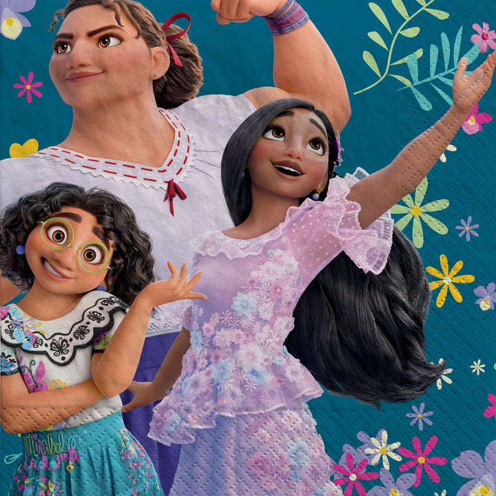 Encanto Party Tableware Birthday Party Supplies, Magic House, Mirabel Disposable Plates, Cups, Napkins ,TableCover, Banner Party Kit