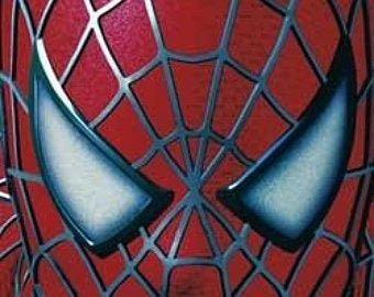 Spider Man 3 Party Kit