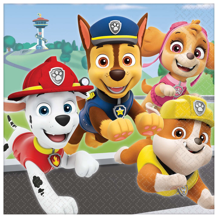 Paw Patrol™ Adventures Party Kit