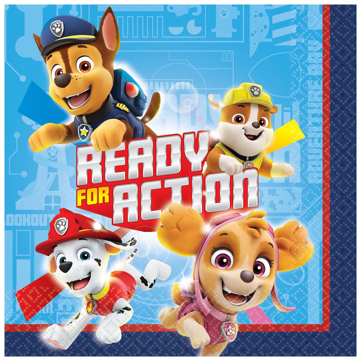 Paw Patrol™ Adventures Party Kit
